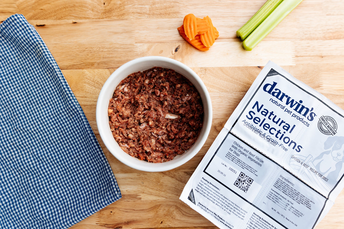 Raw Dog Food: Benefits & Options