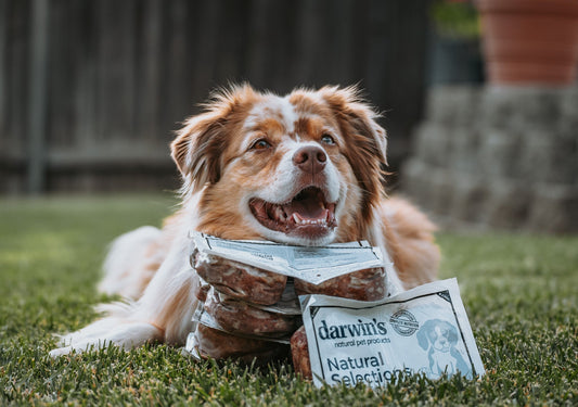 Dogs, Grass, and Microbes