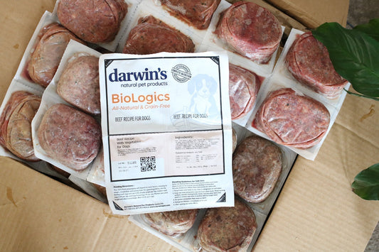 How to Talk to Your Veterinarian About Your Pet's Raw Food Diet