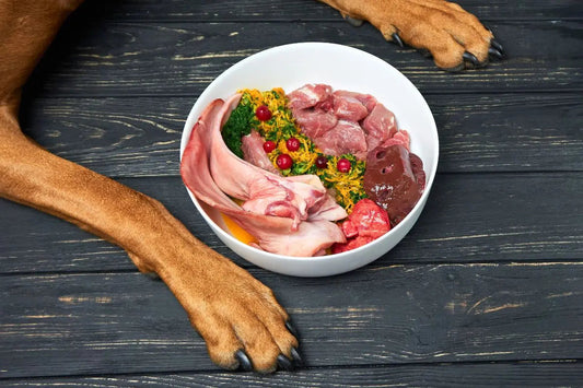 Can-My-Dog-Eat-Raw-Meat-part-1 darwinspet