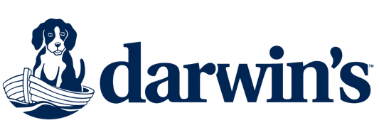 Easy-2-Ingredient-Apple-Kong-DIY darwinspet