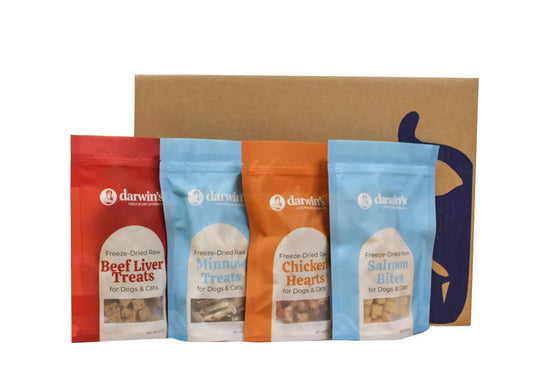 How-Many-Treats-Per-Day-Should-You-Give-Your-Cat darwinspet