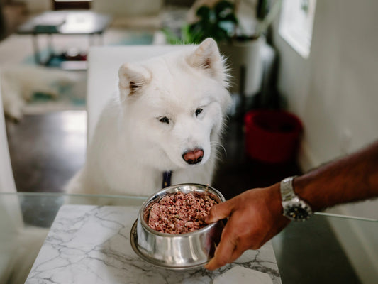 How-Much-Should-My-Dogs-Eat darwinspet