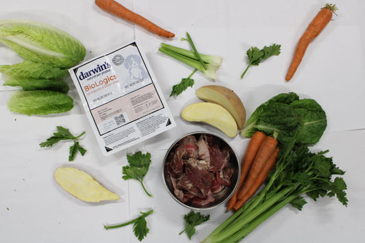 Guidelines for Making a Complete and Balanced Diet for Dogs