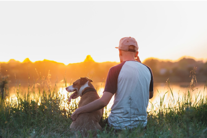 search image 2 Talking to Your Dog Every Day: 7 Unexpected Benefits That Strengthen Your Bond 2