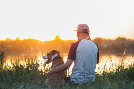 7-Bonding-Activities-To-Do-With-Dogs darwinspet
