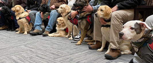 Discounts for Service Dogs
