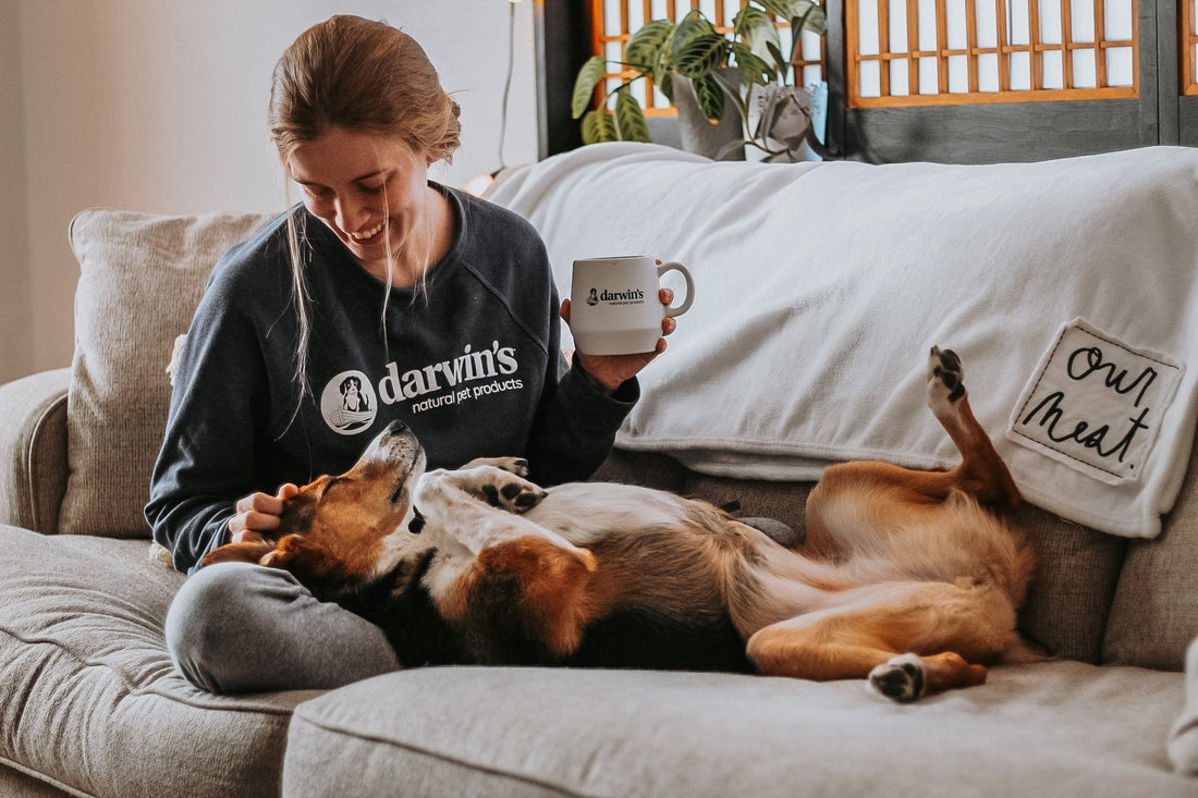 Weight Loss and Dog Food