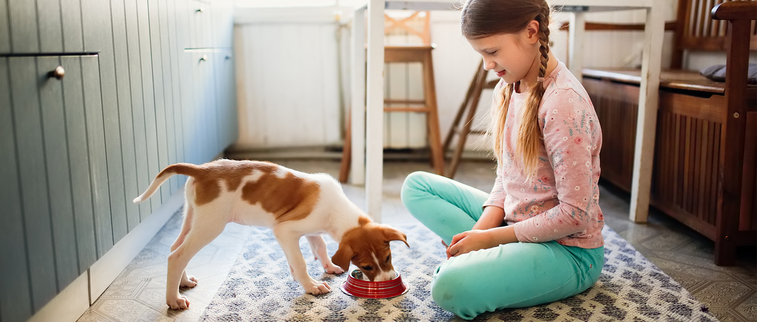 What Do Pets Teach Our Children?