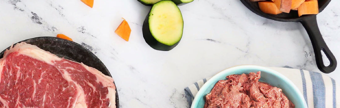 Complete and Balanced Dog Diets