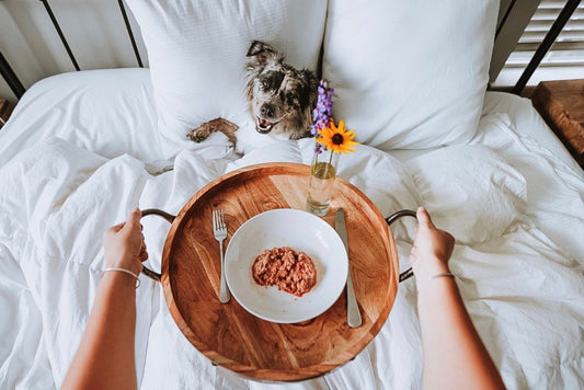 The Ancestral Diet for Dogs