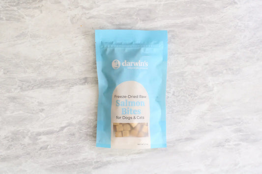 freeze-dried raw salmon treats