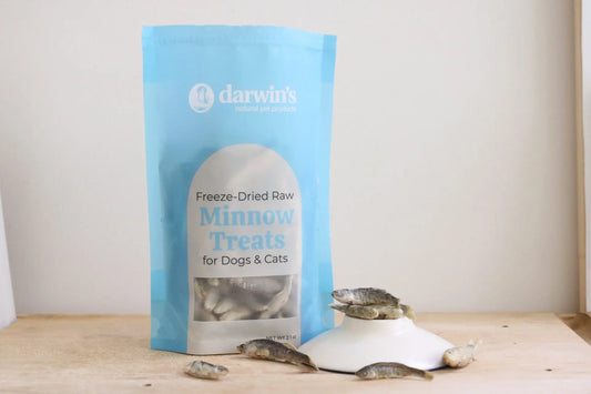 freeze dried minnows