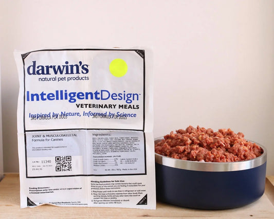 Intelligent Design Joint-Musculoskeletal-Support for Dogs Darwin's