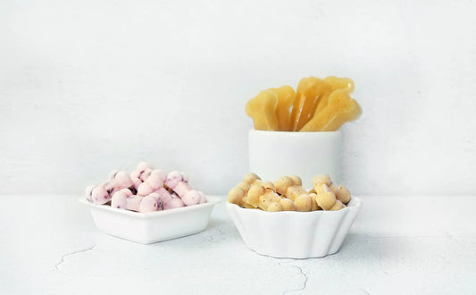 3 Healthy Frozen Dog Treats to Beat the Heat darwinspet