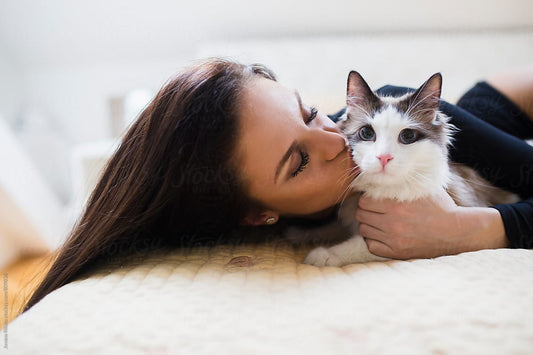 How to Communicate with Cats: A Guide