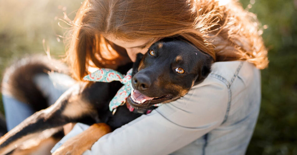 The Fulfilling Path of Dog Fostering: Understanding the Process and Impact