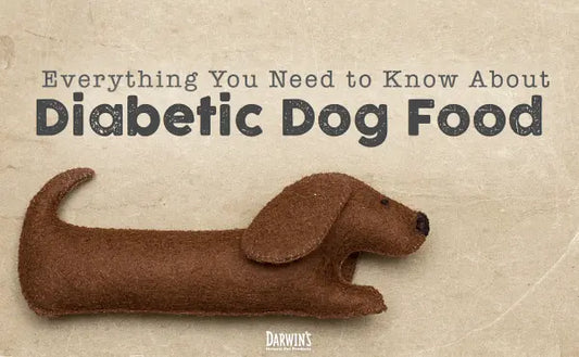 A Diabetic Dog Food Guide darwinspet
