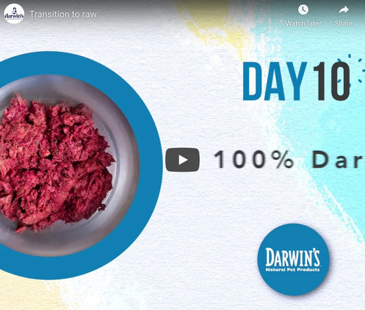 A Happier, Healthier Pet Starts Here! darwinspet