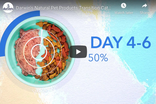 A Happier, Healthier Pet Starts Here! darwinspet