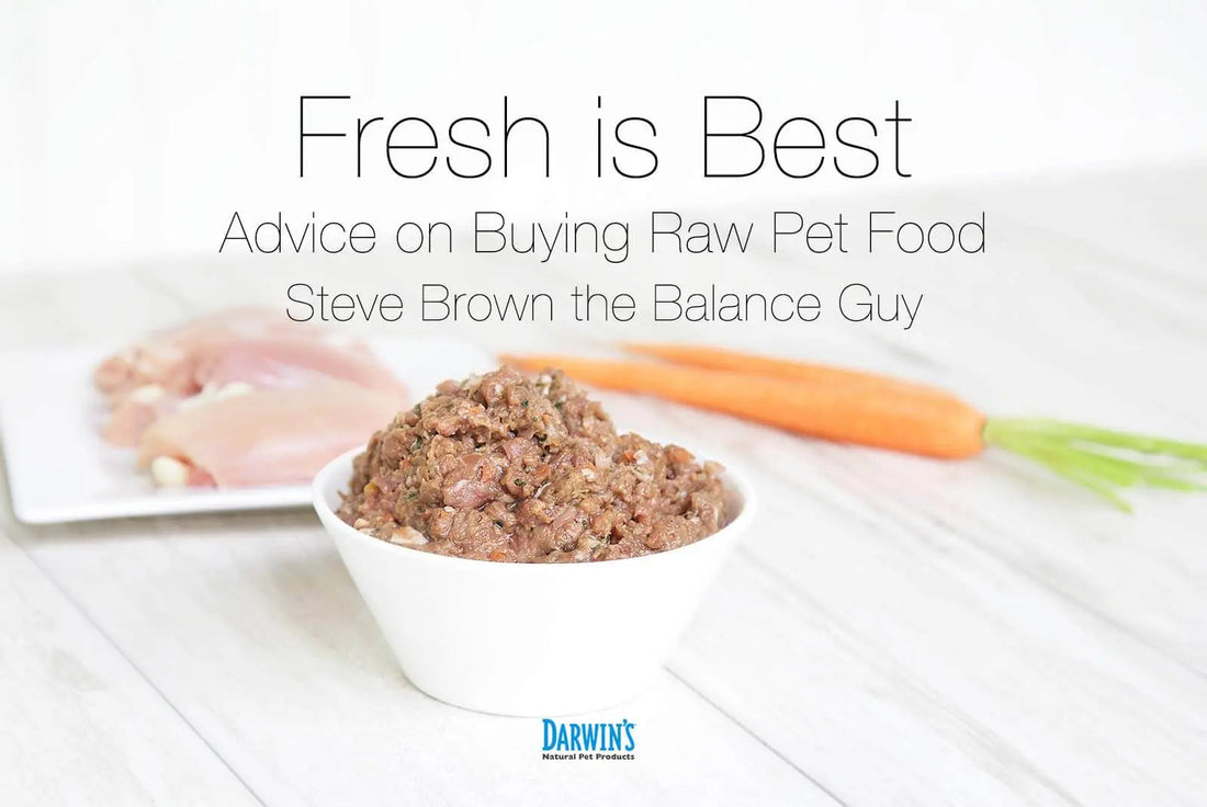 Buying Raw Pet Food darwinspet