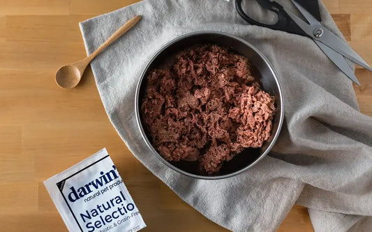 Can My Dog Eat Raw Meat? (part 2) - Darwin's