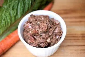 Comparing Types of Pet Food darwinspet