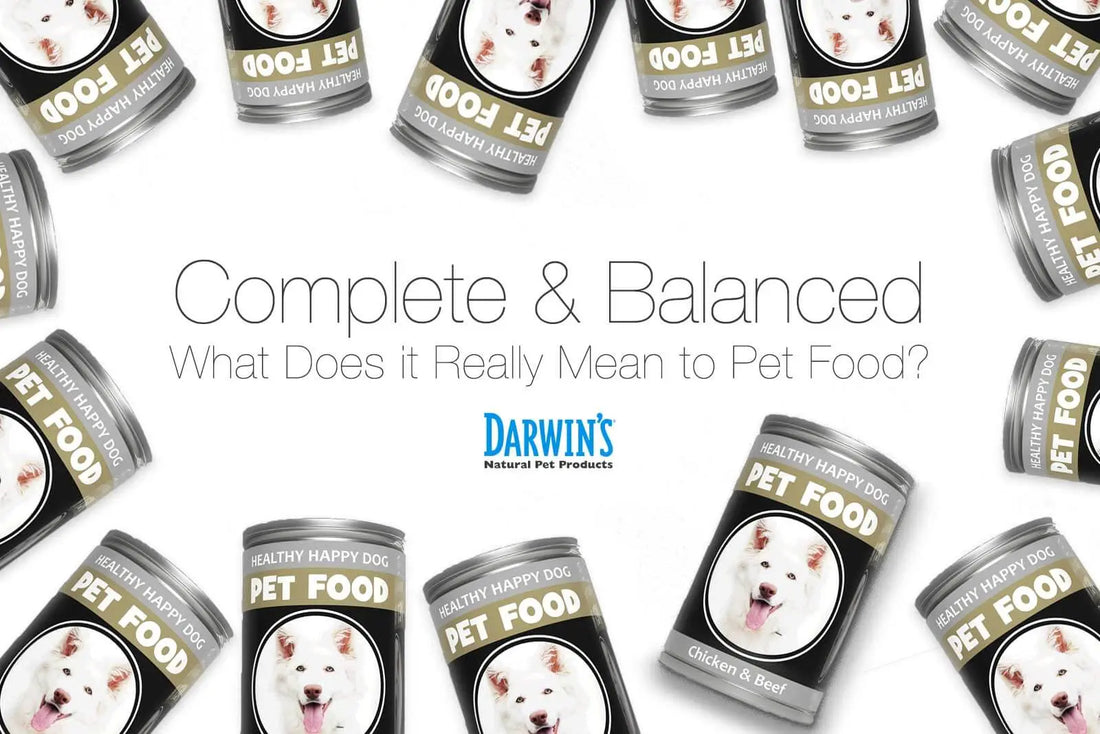 Complete and Balanced Dog Diets darwinspet