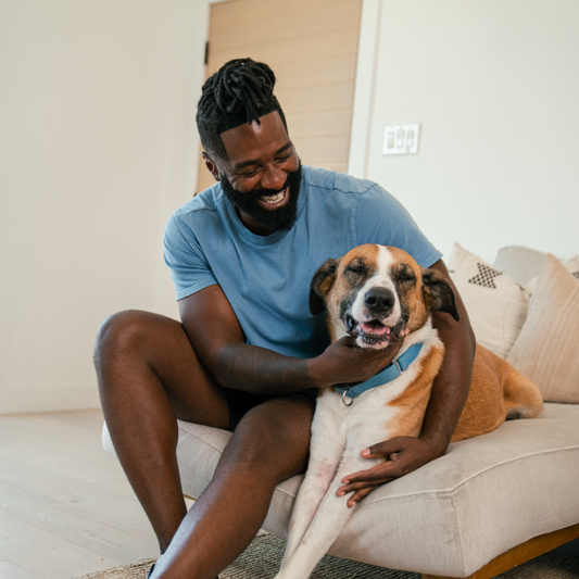 Building Trust with Your Pup: A Guide to Emotional Support Dogs
