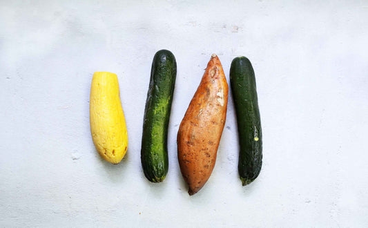DIY No-Waste Food Toppers for Dogs darwinspet