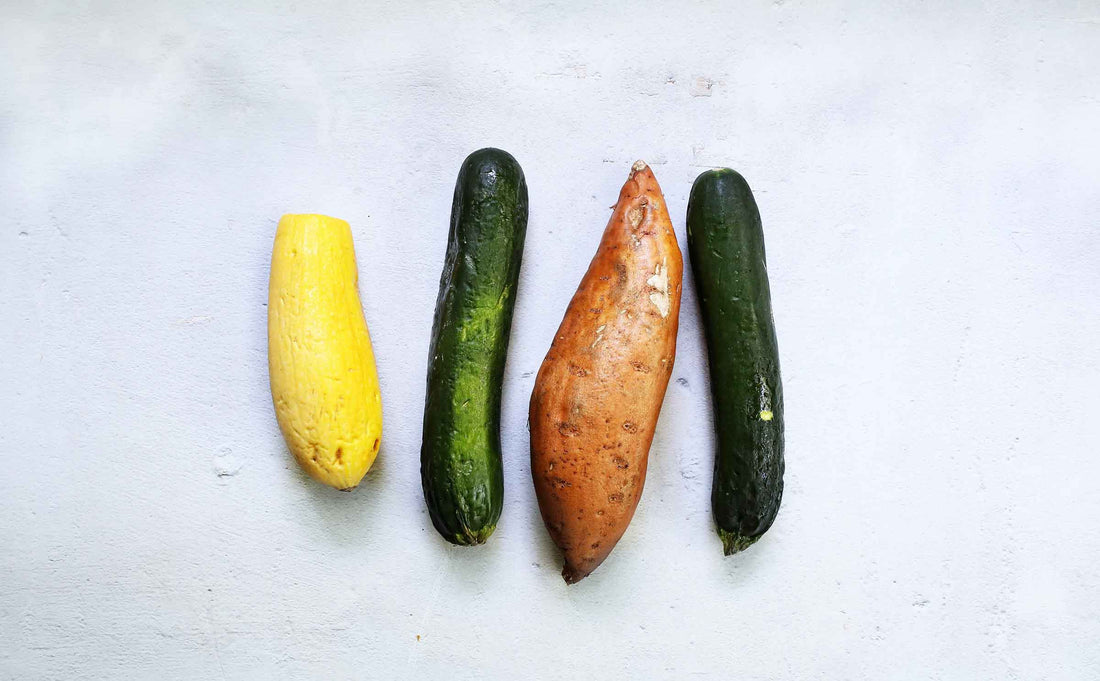 DIY-No-Waste-Food-Toppers-for-Dogs darwinspet