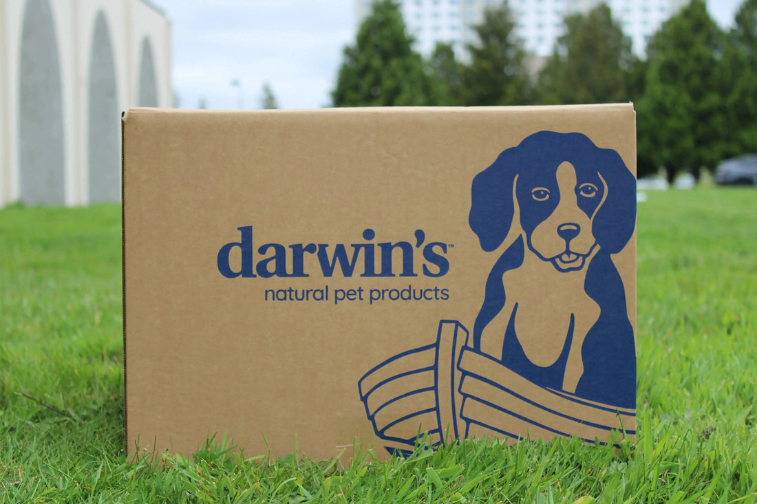 Darwin-s-Natural-Pet-Products-Continues-Ongoing-Partnership-with-PAWS-for-Annual-PAWS-Walk darwinspet