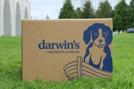Darwin-s-Natural-Pet-Products-Continues-Ongoing-Partnership-with-PAWS-for-Annual-PAWS-Walk darwinspet