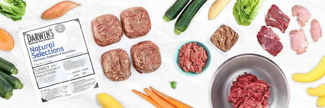 What They Were Born to Eat - Darwin's