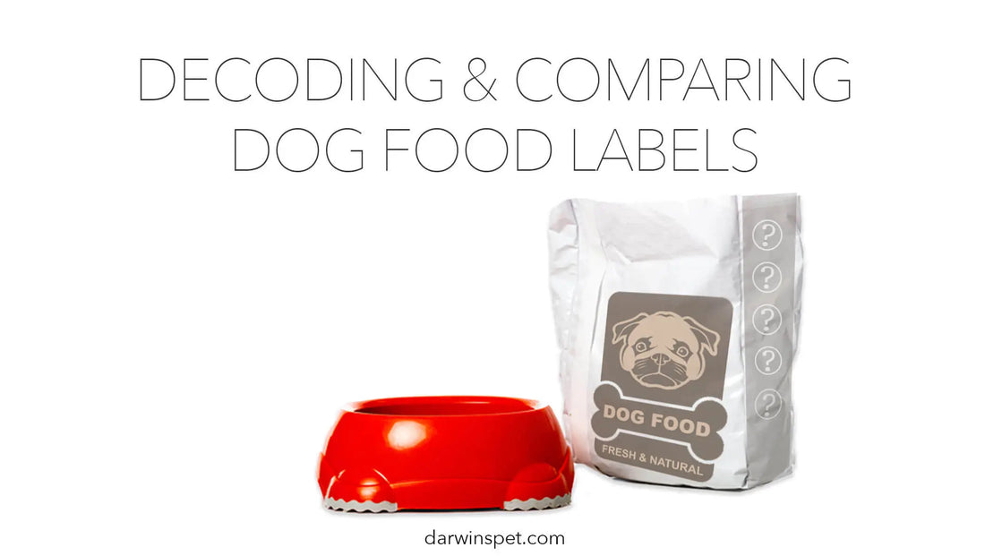 Decoding and Comparing Dog Food Labels darwinspet