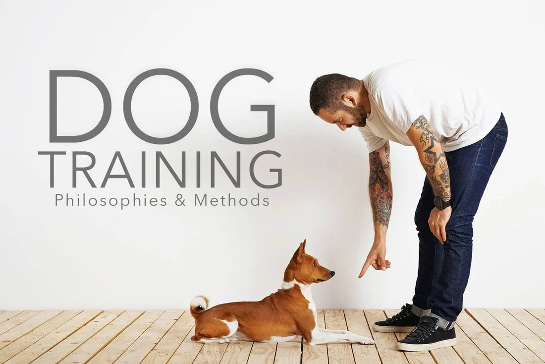 Dog Training Philosophies and Methods darwinspet