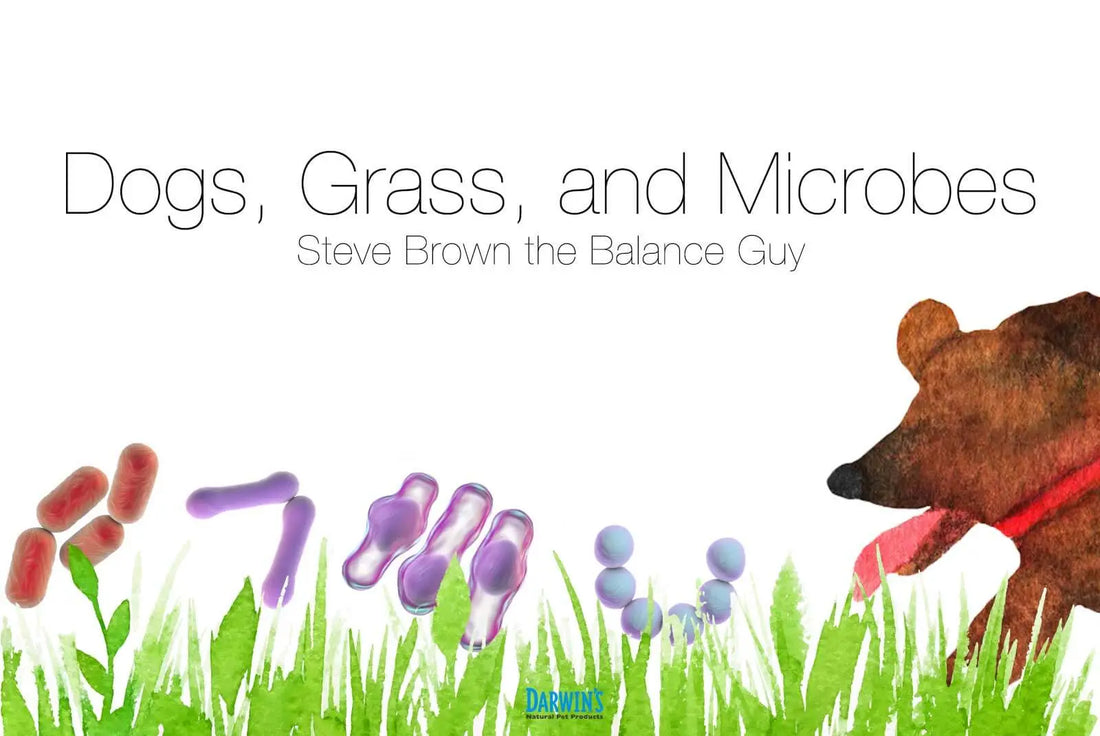 Dogs, Grass, and Microbes darwinspet