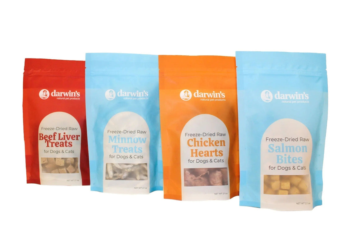 How Many Treats Per Day for a Dog?