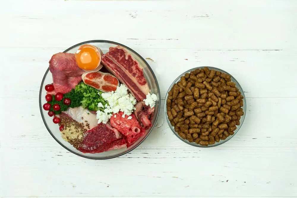 Grain-Free Dog Food vs. Raw Diet: What's Better? darwinspet