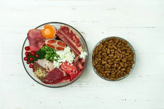 Grain-Free Dog Food vs. Raw Diet: What's Better? darwinspet