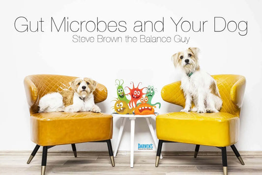 Gut Microbes and Your Dog darwinspet