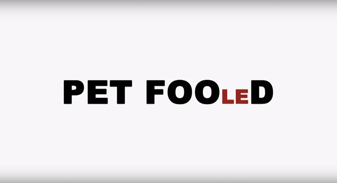 pet fool