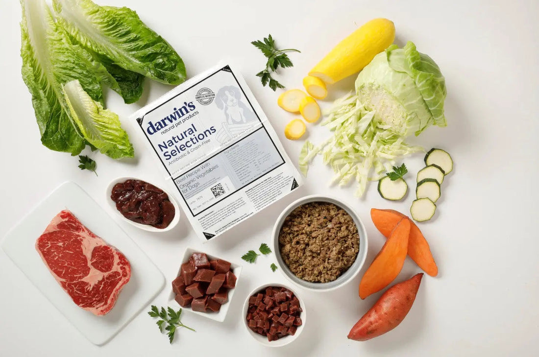 High-Quality-Ingredients darwinspet