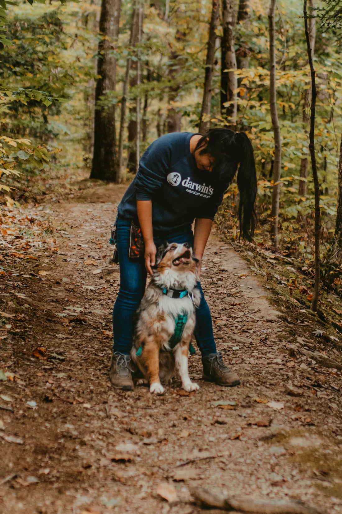 How Long to Wait to Feed a Dog After Exercise darwinspet