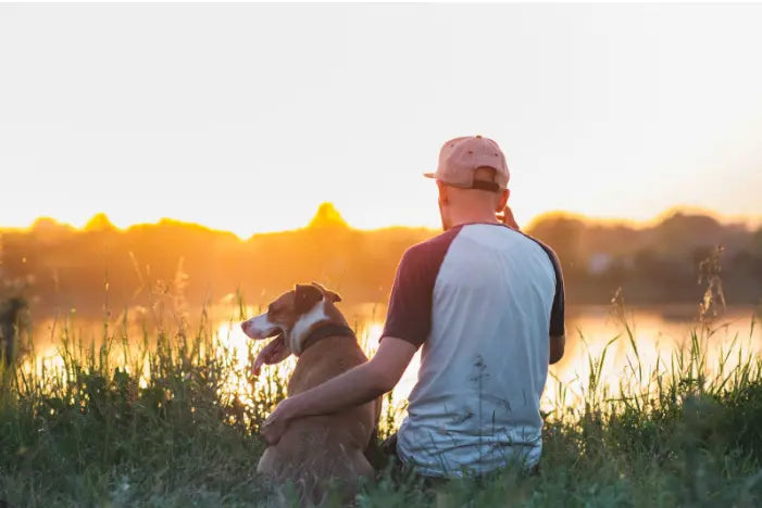 How To Bond With Your Dog With 7 Activities darwinspet