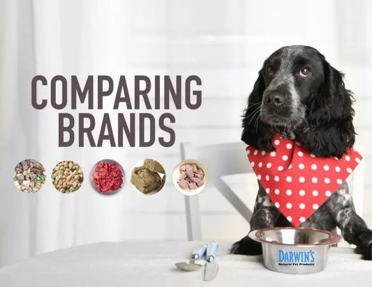 How To Compare Dog Food Brands darwinspet