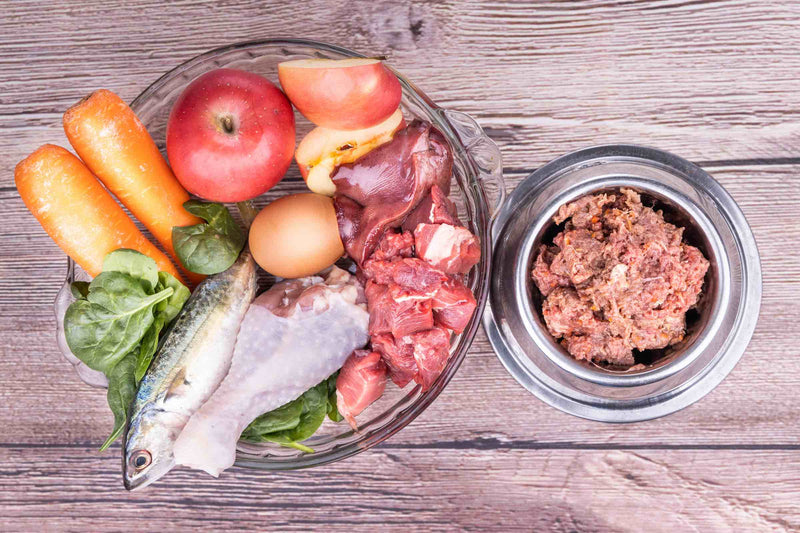 How to Feed Raw - Darwin's