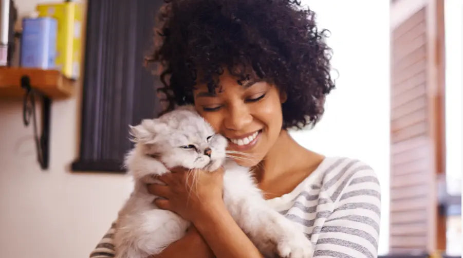 How to Tell If My Cat is Pregnant darwinspet