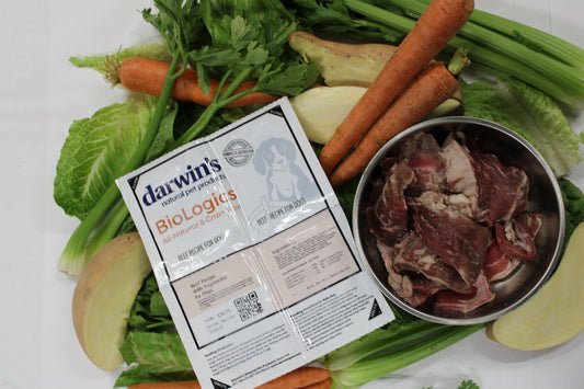 How Do I Know If I’m Feeding My Pet a Nutritionally Balanced Meal?