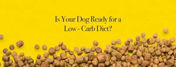 Low-Carb Dog Food darwinspet